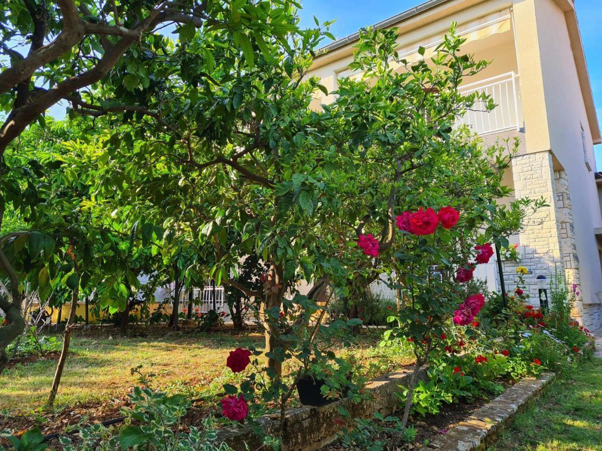 Apartments & Rooms Tom เมดูลิน ภายนอก รูปภาพ